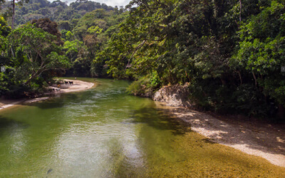 Seyviaka + Tubbing in Río Palomino